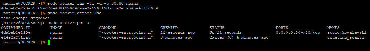 23.png
